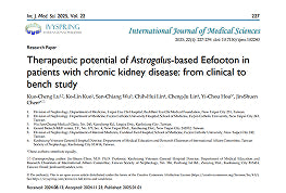 Therapeutic potential of Astragalus-based Eefooton in patients with chronic kidney disease: from clinical to bench study